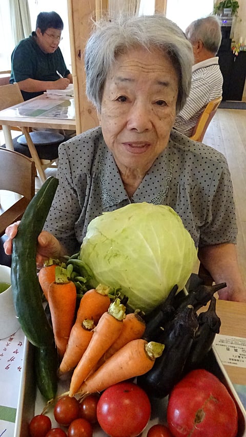 採れたて野菜です！