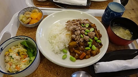 タガヤセカレーです。