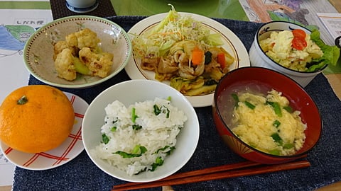 今日の昼食です！