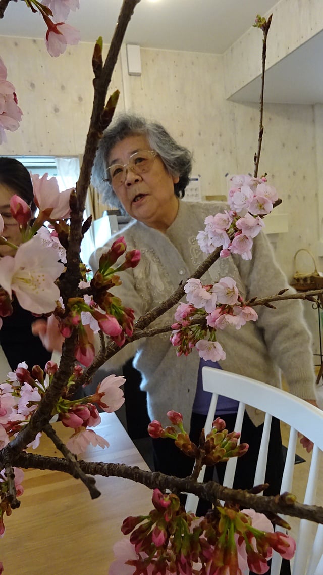 河津桜！！