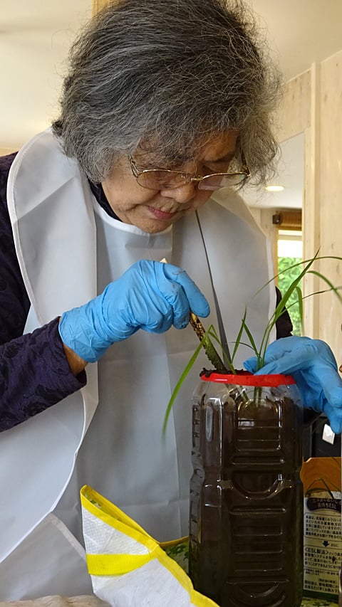 田植え中！