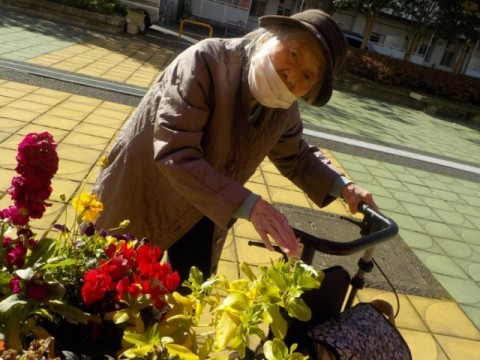 いいお天気♪