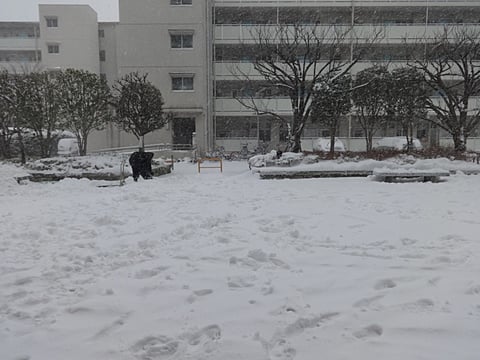 玄関前の広場も真っ白に！！