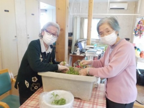 どんな料理に？