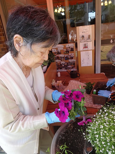 お花の寄せ植えです！