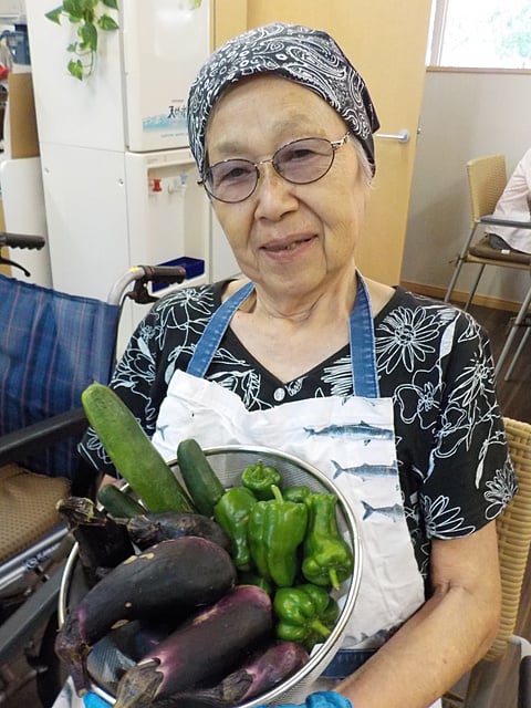 新鮮な夏野菜♪