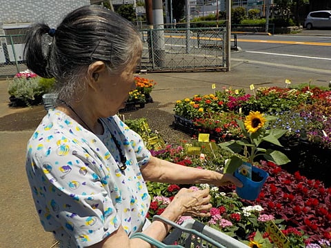 お花を買いに行きました✿