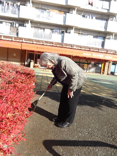 朝日の中で・・落ち葉を！