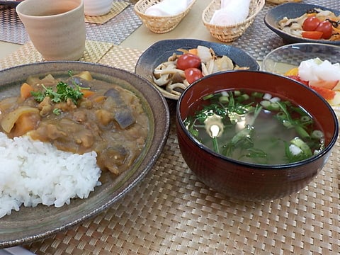 ナスたっぷりカレーです！