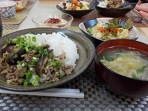 牛肉と茄子のさっぱりポン酢和え丼です！