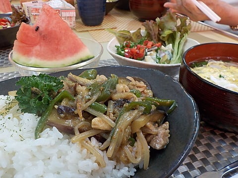 本日のランチ、鶏肉の青椒肉絲丼です！