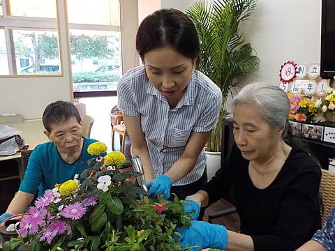 植木の手入れ中です！