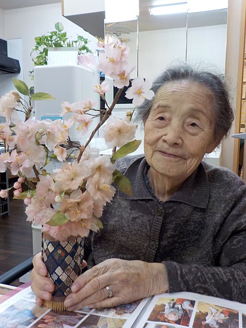 だんち桜が咲きました✿