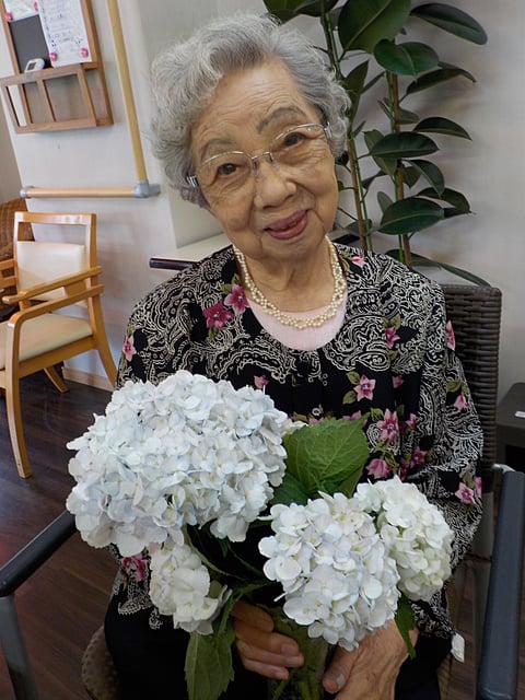 白い紫陽花です♪