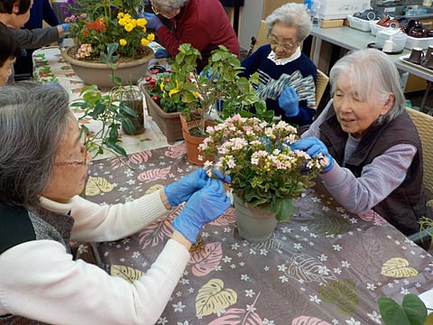 お花の手入れをしました！