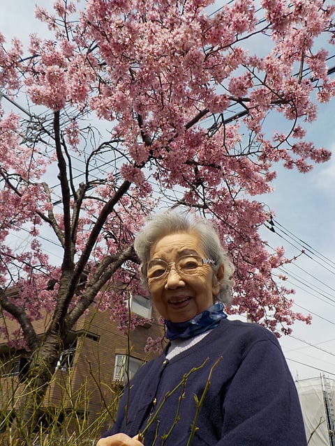 近所の桜と一緒に・・・