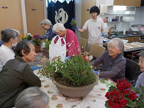 園芸クラブを行いました✿