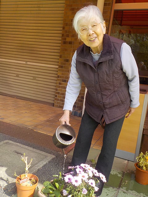 植木に水をあげています！