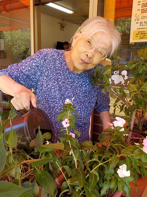 植木に水やり中！