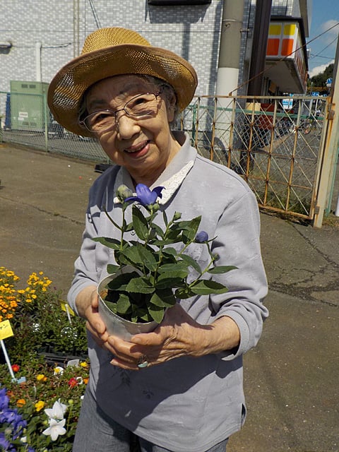 お花を買いました！