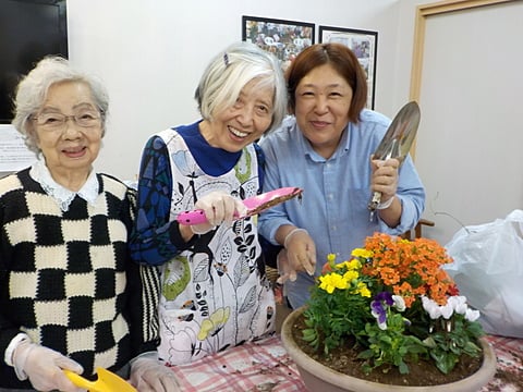 玄関のお花を植え替えました✿